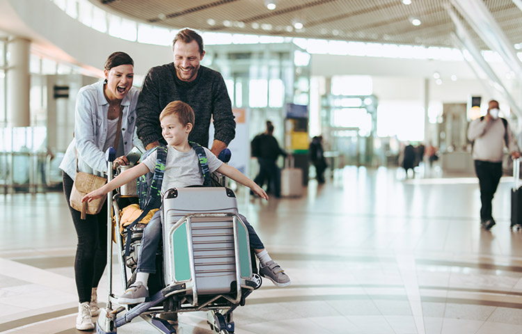 Malpensa Airport to Stresa transfer
